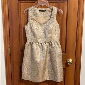 Ark & Co Gold Shimmer Mini Dress!